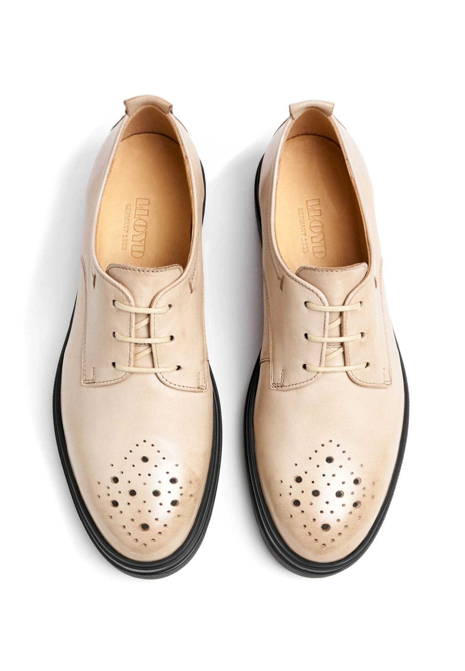 Lloyd Eleganter - Stringate - Beige - immagine 3